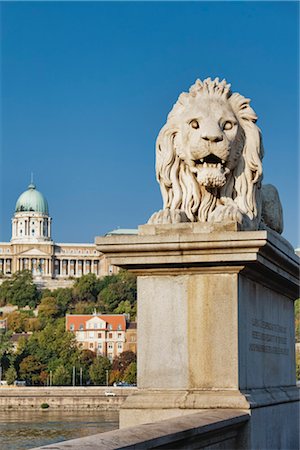 simsearch:700-02972747,k - Chain Bridge Lion and Royal Palace in Background, Buda, Budapest, Hungary Stock Photo - Rights-Managed, Code: 700-03290178