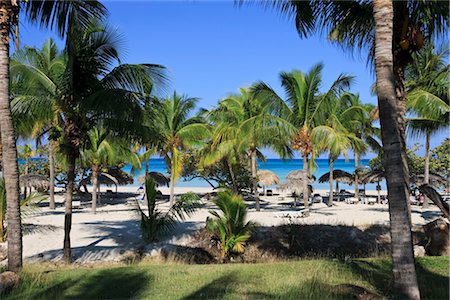 Beach and Palm Trees at Resort, Varadero, Cuba Stock Photo - Rights-Managed, Code: 700-03368357