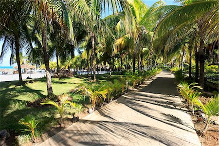 simsearch:700-03368365,k - Walkway at Resort, Varadero, Cuba Fotografie stock - Rights-Managed, Codice: 700-03368360