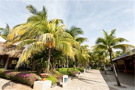 Resort, Varadero, Cuba Stock Photo - Rights-Managed, Code: 700-03368413