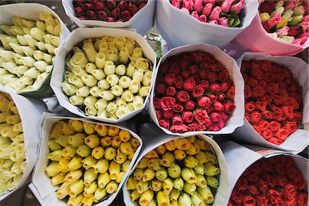 Roses at Pak Khlong Talat Flower Market, Bangkok, Thailand Stock Photo - Rights-Managed, Code: 700-03407565