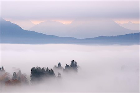 Foggy Morning Over Fuessen, Ostallgau, Allgau, Swabia, Bavaria, Germany Stock Photo - Rights-Managed, Code: 700-03407753