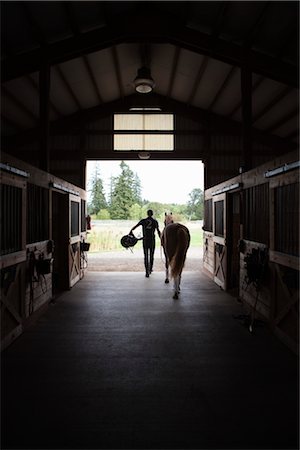 ranch - Man führt Pferd aus Stall, Brush Prairie, Washington, USA Stockbilder - Lizenzpflichtiges, Bildnummer: 700-03407763