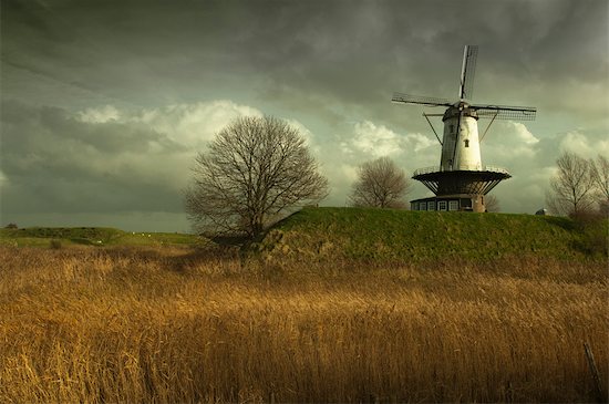 Windmill on Town Wall, Veere, Zeeland, Netherlands Stock Photo - Premium Rights-Managed, Artist: Ben Seelt, Image code: 700-03403617