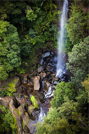 point de repère naturel - Fitzroy Falls, Parc National de Morton, New South Wales, Australie Photographie de stock - Rights-Managed, Code: 700-03438111