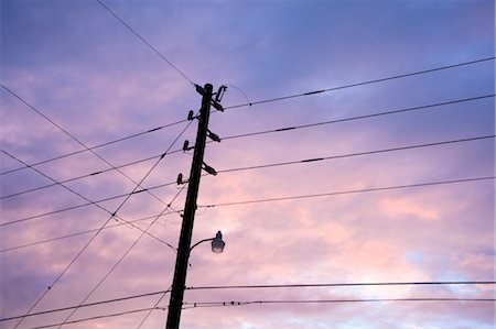 fil électrique - Téléphonez à la perche au coucher du soleil, Spring Hill, Floride, USA Photographie de stock - Rights-Managed, Code: 700-03439246