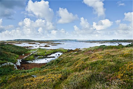 simsearch:6129-09057793,k - Connemara, County Galway, Connacht Province, Ireland Foto de stock - Con derechos protegidos, Código: 700-03439454