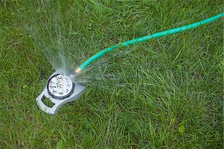 Close-up of Water Sprinkler on Grass Stock Photo - Rights-Managed, Code: 700-03439517