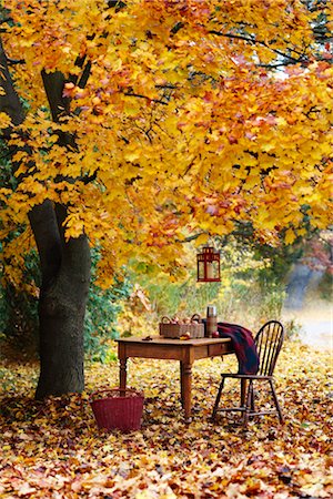panier d'osier - Table et chaise par arbre en automne Photographie de stock - Rights-Managed, Code: 700-03439609