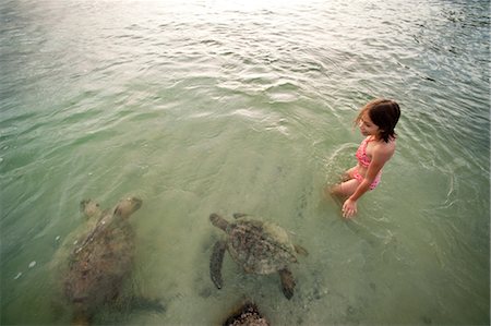 polynesia - Girl with Turtles, Kona, Big Island, Hawaii, USA Foto de stock - Con derechos protegidos, Código: 700-03445647