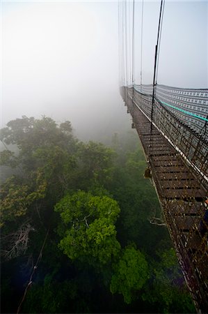 foot bridge and nobody - Footbridge and Fog, Sacha Lodge, Quito, Eduador Stock Photo - Rights-Managed, Code: 700-03445673