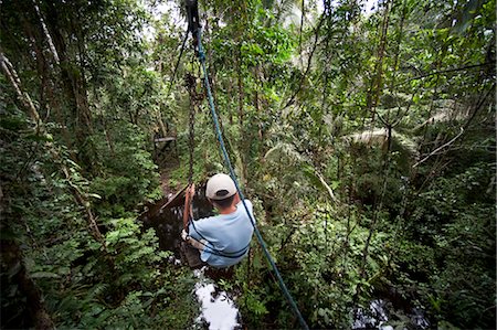 people of the amazon rainforest - Boy on Zipline, Sacha Lodge, Quito, Ecuador Stock Photo - Rights-Managed, Code: 700-03445684