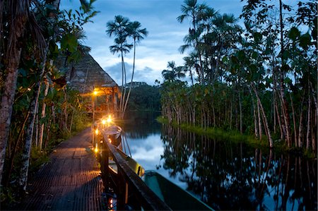 Sacha Lodge, en Équateur, en Amérique du Sud Photographie de stock - Rights-Managed, Code: 700-03445682