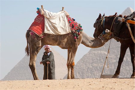 simsearch:700-01296366,k - Man with Camel and Horse in front of Pyramids, Giza, Egypt Fotografie stock - Rights-Managed, Codice: 700-03445956