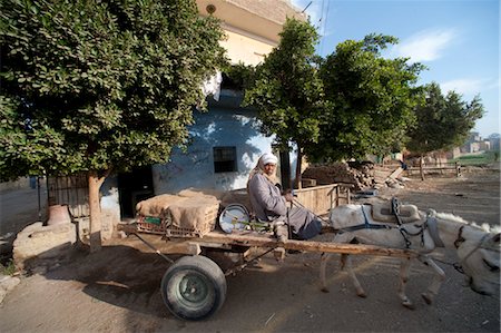Man Driving Cart, Luxor, Egypt Foto de stock - Con derechos protegidos, Código: 700-03445951