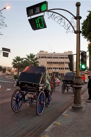 Horse-Drawn Carriage at Stoplight, Luxor, Egypt Stock Photo - Rights-Managed, Code: 700-03445953