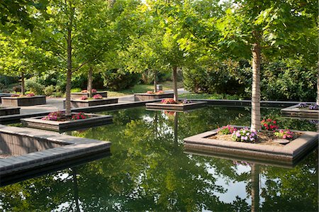 reflets dans l'eau - Oregon Garden, Silverton, Oregon, Etats-Unis Photographie de stock - Rights-Managed, Code: 700-03446108