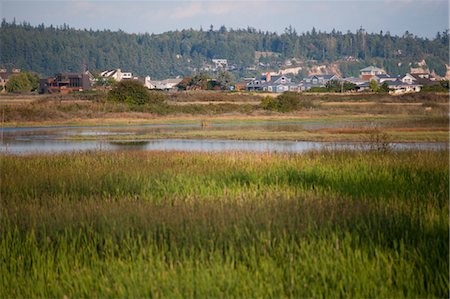 Whidbey Island, Washington, USA Foto de stock - Con derechos protegidos, Código: 700-03446116