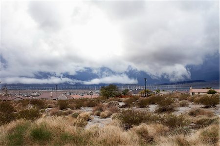 desert environmental concerns - Joshua Tree, San Bernardino County, California, USA Stock Photo - Rights-Managed, Code: 700-03446183