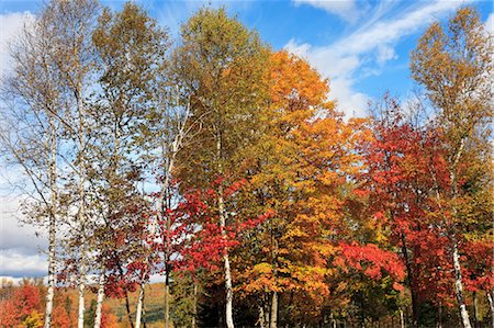 Montreal in Autumn, Quebec, Canada Stock Photo - Rights-Managed, Code: 700-03440042