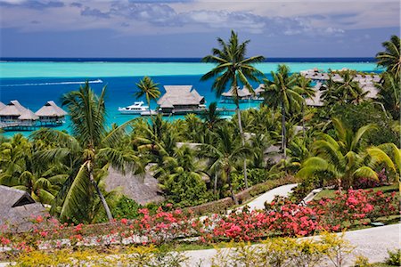 polinesia - Vue d'ensemble du Resort, Bora Bora Nui Resort, Motu Toopua, Bora Bora, Polynésie française, Océanie Photographie de stock - Rights-Managed, Code: 700-03440195