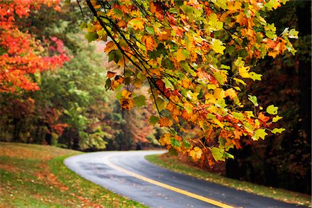 Route de campagne et de feuillage d'automne, Blue Ridge Parkway, Virginia, USA Photographie de stock - Rights-Managed, Code: 700-03440223