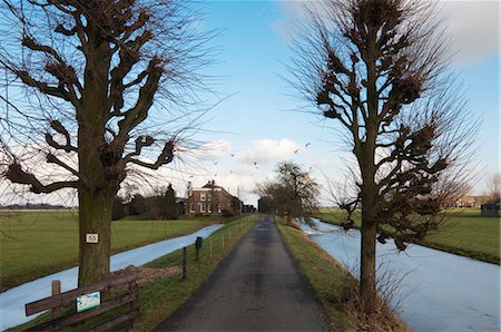 europe netherlands nature - Road between Ditches leading to Farm, South Holland, Netherlands Stock Photo - Rights-Managed, Code: 700-03456536