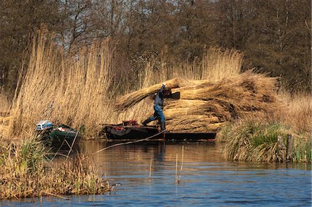 Man Transporting Bundles of Reeds, Giethoorn, Overijssel, Netherlands Stock Photo - Rights-Managed, Code: 700-03456532