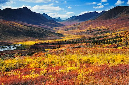 Tombstone Range, Tombstone Territorial Park, Yukon Territory, Canada Foto de stock - Con derechos protegidos, Código: 700-03451154