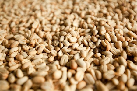 panamá - Coffee Beans, Boquete, Chiriqui, Panama Foto de stock - Con derechos protegidos, Código: 700-03466361