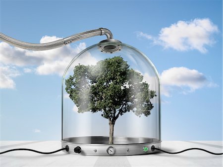 environmental pollution - Tree inside Pressurized Glass Dome Foto de stock - Con derechos protegidos, Código: 700-03466505