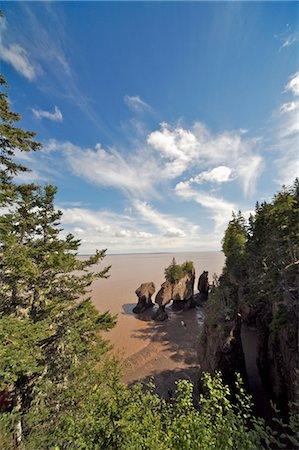 point de repère naturel - Pot de fleurs des roches, la baie de Fundy, Nouveau-Brunswick, Canada Photographie de stock - Rights-Managed, Code: 700-03466570