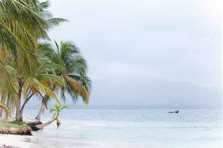 paradise (place of bliss) - Tropical Beach, San Blas Islands, Panama Stock Photo - Rights-Managed, Code: 700-03466784