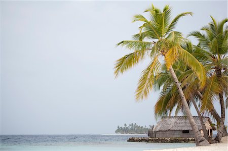 paraíso terrenal - Hut on Tropical Beach, San Blas Islands, Panama Foto de stock - Con derechos protegidos, Código: 700-03466788