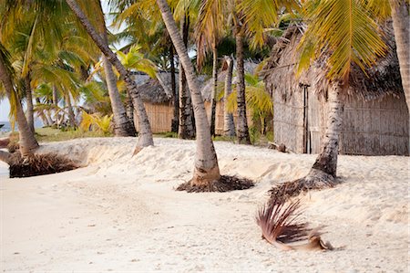 Tropical Beach, San Blas Islands, Panama Stock Photo - Rights-Managed, Code: 700-03466782