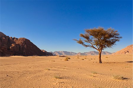 simsearch:862-05998280,k - Desert, Wadi Rum, Jordan Foto de stock - Con derechos protegidos, Código: 700-03460383