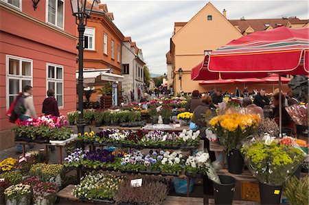 Marché aux fleurs, Zagreb, Croatie Photographie de stock - Rights-Managed, Code: 700-03463179