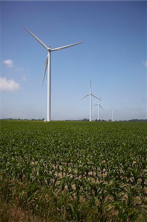 Windmills, Bruce County, Ontario, Canada Foto de stock - Con derechos protegidos, Código: 700-03484969