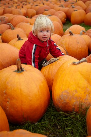 simsearch:700-03484976,k - Toddler in Pumpkin Patch, Ontario, Canada Fotografie stock - Rights-Managed, Codice: 700-03484972