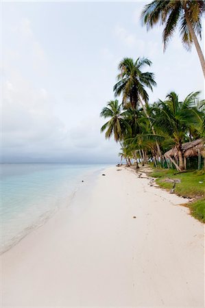 san blas islands - Beach, San Blas Islands, Panama Foto de stock - Con derechos protegidos, Código: 700-03485152