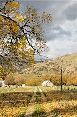 Sheep Station, Lindis Valley, Canterbury, South Island, New Zealand Foto de stock - Con derechos protegidos, Código: 700-03508379