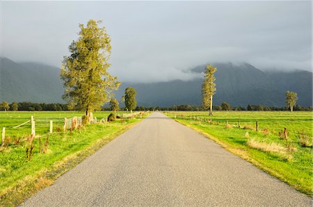 paved - Lake Matheson Road, Cook Flat, West Coast, South Island, New Zealand Stock Photo - Rights-Managed, Code: 700-03508442