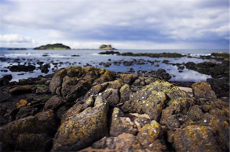 North Berwick, East Lothian, Lothian, Scotland, United Kingdom Foto de stock - Con derechos protegidos, Código: 700-03508679