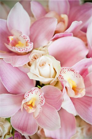 romantic wedding flower - Close-Up of Wedding Bouquet Stock Photo - Rights-Managed, Code: 700-03508824