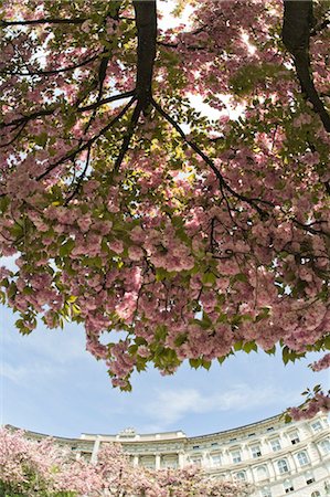 spring flowers in salzburg austria - Palace of Mirabell, Salzburg, Austria Stock Photo - Rights-Managed, Code: 700-03502868