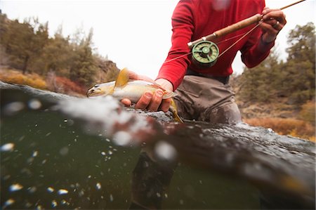 fish hand - Man Fly Fishing on Deschutes River, Oregon, USA Stock Photo - Rights-Managed, Code: 700-03502969