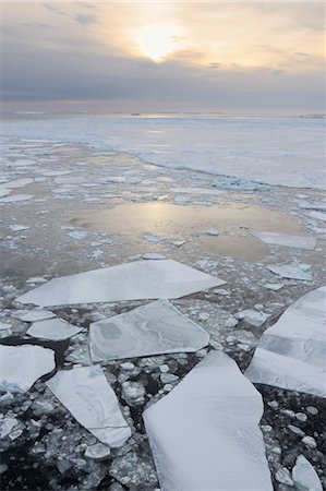 Ice Floe, Weddell Sea, Antarctic Peninsula, Antarctica Foto de stock - Con derechos protegidos, Código: 700-03503098