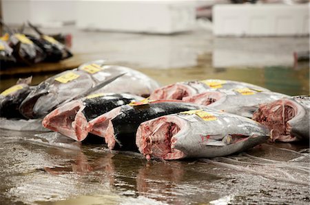 Poissons Tsukiji central de gros marché, Tokyo, Japon Photographie de stock - Rights-Managed, Code: 700-03520454