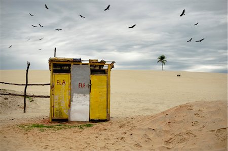 palm desert - Toilet Shack on Edge of Sand Dune, Catuipe, Rio Grande do Sul, Brazil Foto de stock - Con derechos protegidos, Código: 700-03544724
