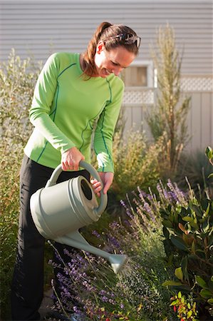person watering the garden - Woman Watering Flowers in Garden, Seattle, Washington, USA Stock Photo - Rights-Managed, Code: 700-03554472
